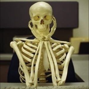 Meet your Posher, Autumn